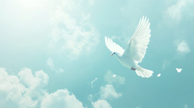 sky memorial